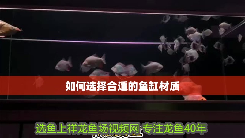 如何選擇合適的魚缸材質