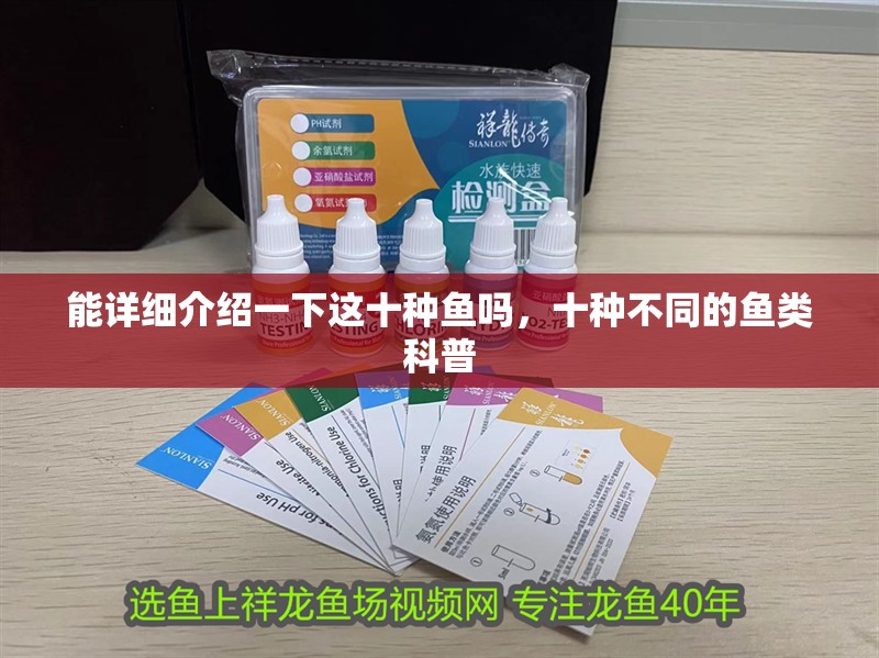 能詳細(xì)介紹一下這十種魚嗎，十種不同的魚類科普