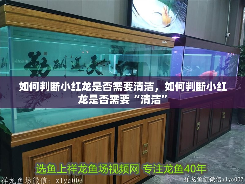 如何判斷小紅龍是否需要清潔，如何判斷小紅龍是否需要“清潔”