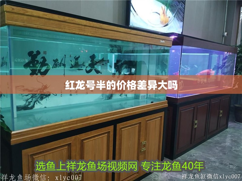 紅龍號半的價格差異大嗎
