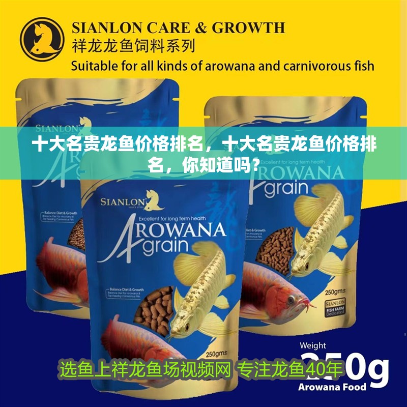 十大名貴龍魚價格排名，十大名貴龍魚價格排名，你知道嗎？