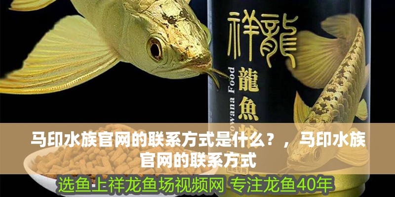 馬印水族官網(wǎng)的聯(lián)系方式是什么？，馬印水族官網(wǎng)的聯(lián)系方式