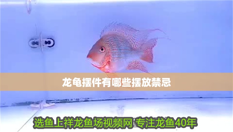 龍龜擺件有哪些擺放禁忌