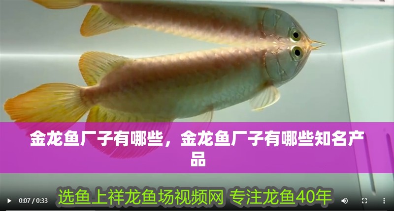 金龍魚廠子有哪些，金龍魚廠子有哪些知名產品