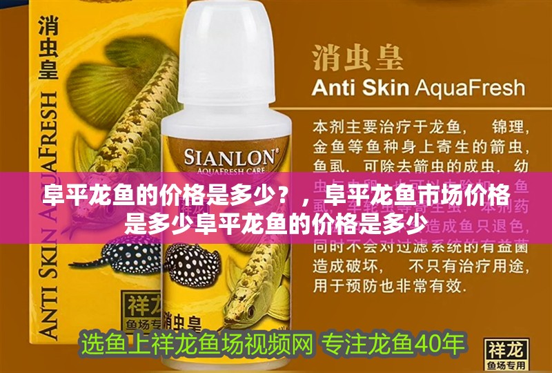 阜平龍魚的價格是多少？，阜平龍魚市場價格是多少阜平龍魚的價格是多少