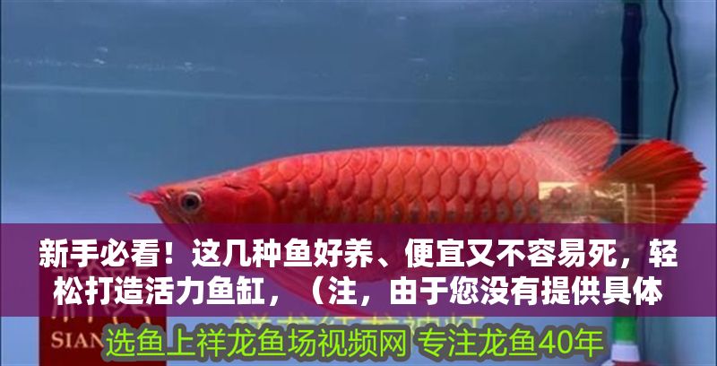 新手必看！這幾種魚好養、便宜又不容易死，輕松打造活力魚缸，（注，由于您沒有提供具體內容，我基于常見養魚需求創作了一個通用標題。若您能提供原文內容，我可生成更精準的標題）
