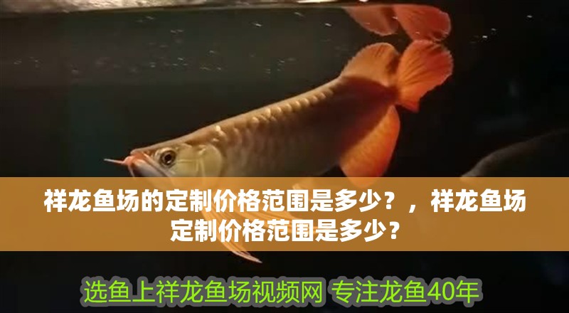 祥龍魚場的定制價格范圍是多少？，祥龍魚場定制價格范圍是多少？