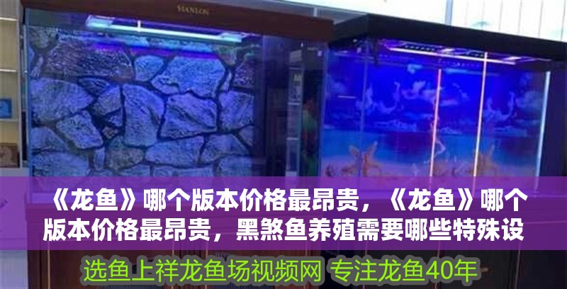 《龍魚》哪個版本價格最昂貴，《龍魚》哪個版本價格最昂貴，黑煞魚養殖需要哪些特殊設備