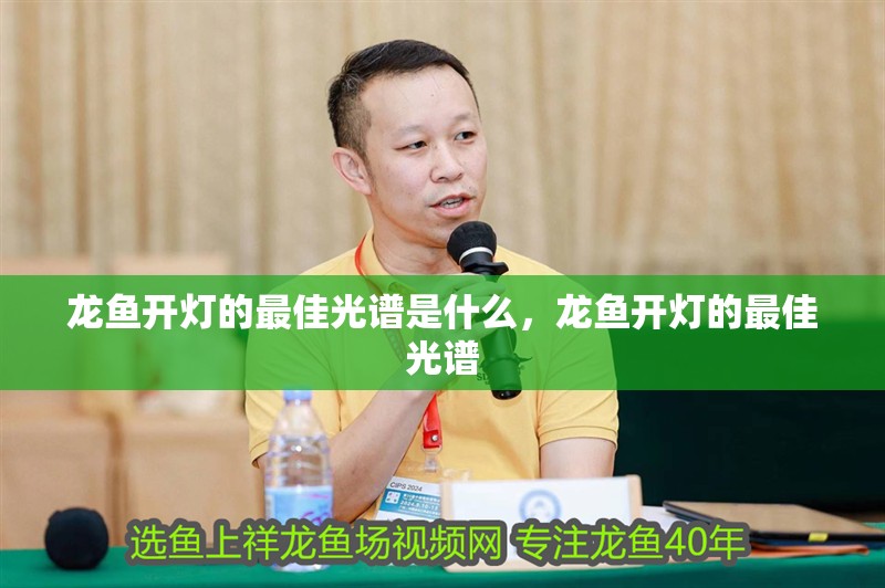 龍魚開燈的最佳光譜是什么，龍魚開燈的最佳光譜