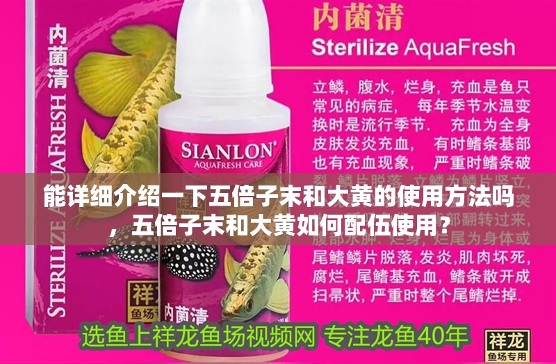 能詳細(xì)介紹一下五倍子末和大黃的使用方法嗎，五倍子末和大黃如何配伍使用？