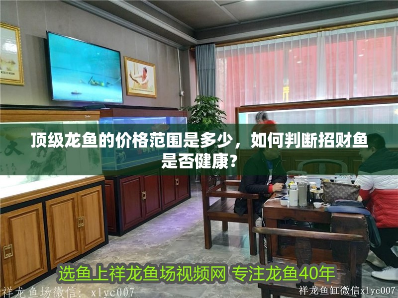 頂級龍魚的價格范圍是多少，如何判斷招財魚是否健康？