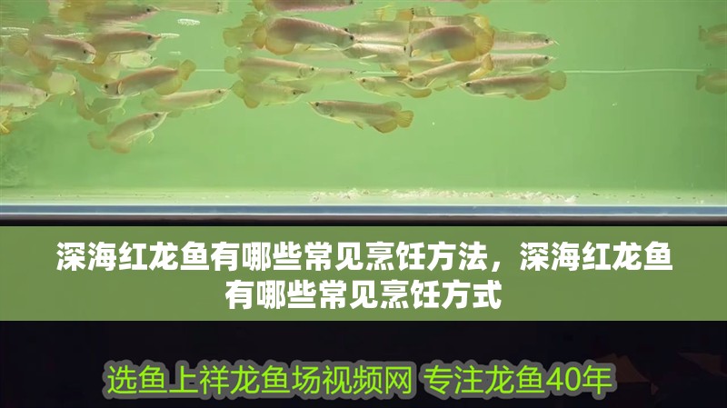 深海紅龍魚有哪些常見烹飪方法，深海紅龍魚有哪些常見烹飪方式