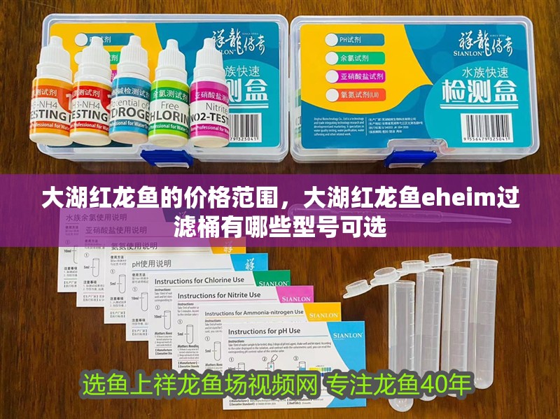 大湖紅龍魚的價格范圍，大湖紅龍魚eheim過濾桶有哪些型號可選
