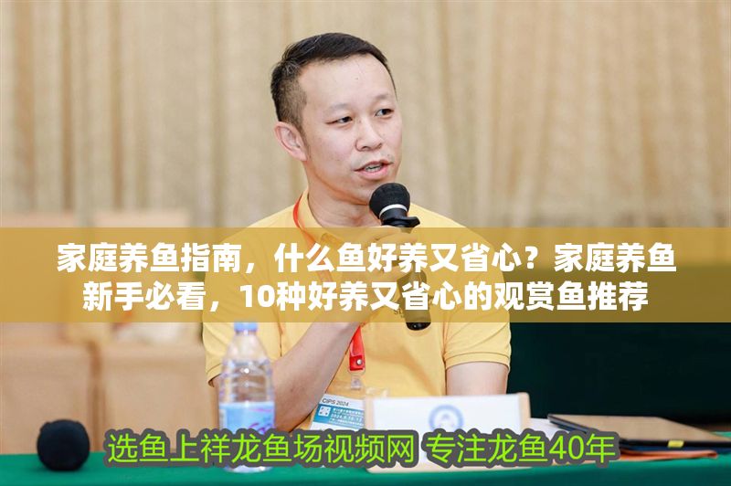 家庭養魚指南，什么魚好養又省心？家庭養魚新手必看，10種好養又省心的觀賞魚推薦