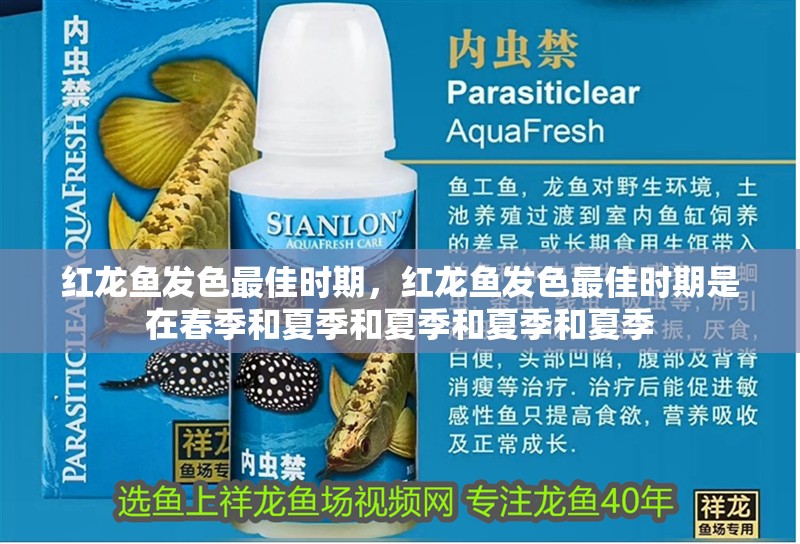 紅龍魚發色最佳時期，紅龍魚發色最佳時期是在春季和夏季和夏季和夏季和夏季