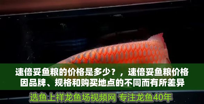 速倍妥魚糧的價格是多少？，速倍妥魚糧價格因品牌、規格和購買地點的不同而有所差異