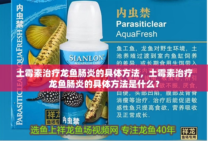 土霉素治療龍魚腸炎的具體方法，土霉素治療龍魚腸炎的具體方法是什么？