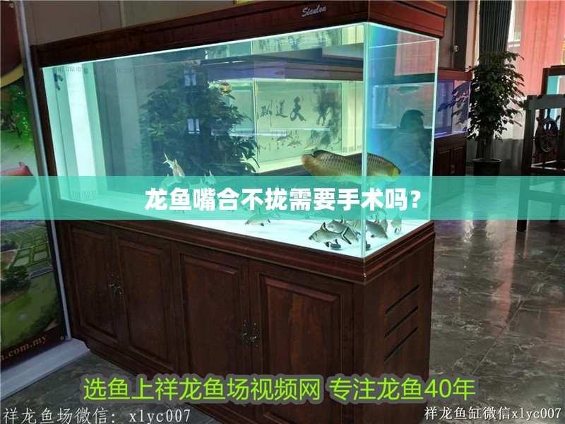 龍魚嘴合不攏需要手術嗎？