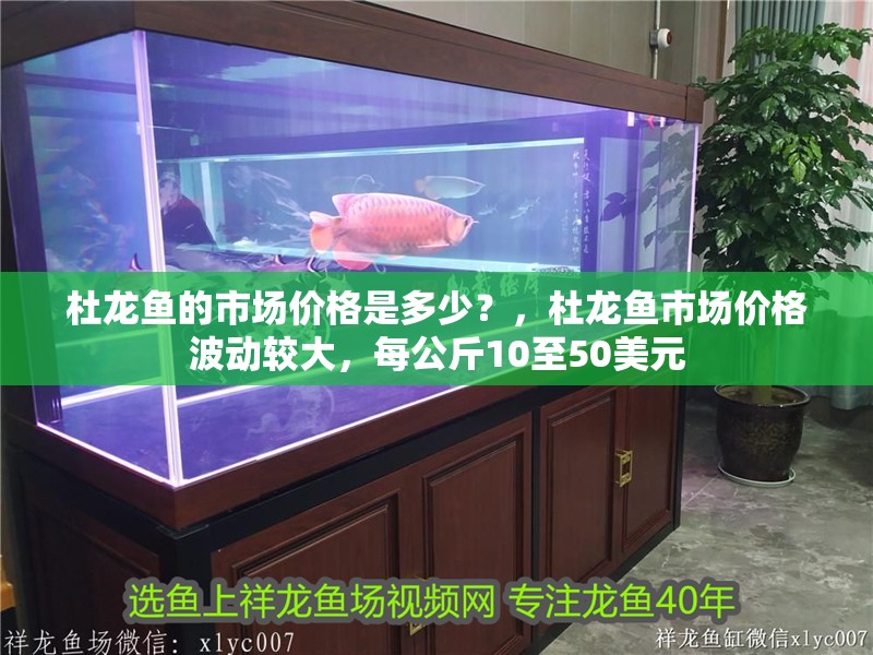 杜龍魚的市場價格是多少？，杜龍魚市場價格波動較大，每公斤10至50美元