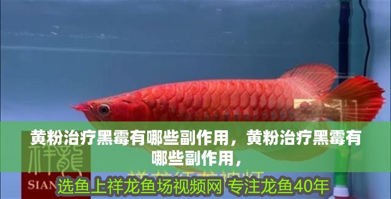 黃粉治療黑霉有哪些副作用，黃粉治療黑霉有哪些副作用，