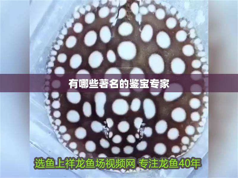 有哪些著名的鑒寶專家