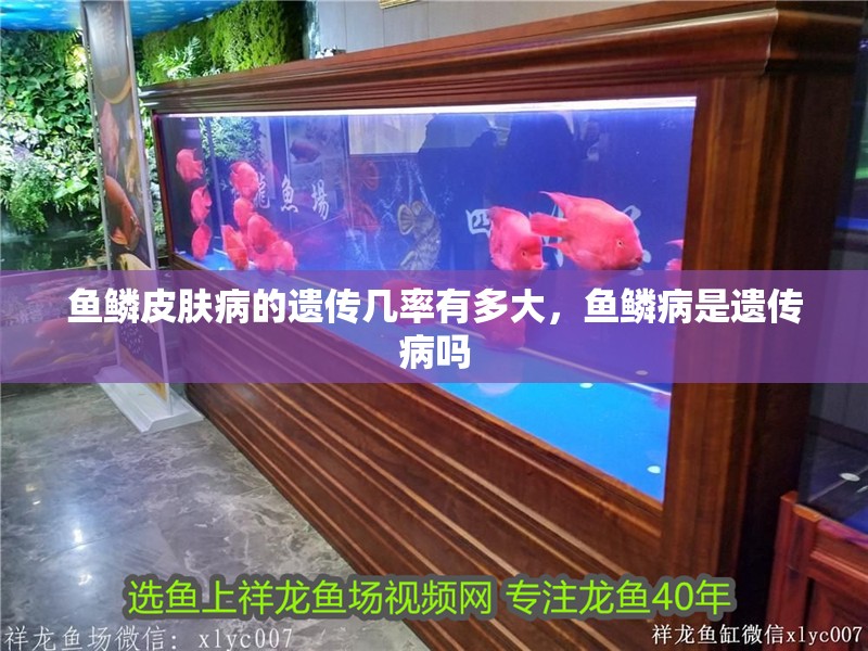 魚鱗皮膚病的遺傳幾率有多大，魚鱗病是遺傳病嗎