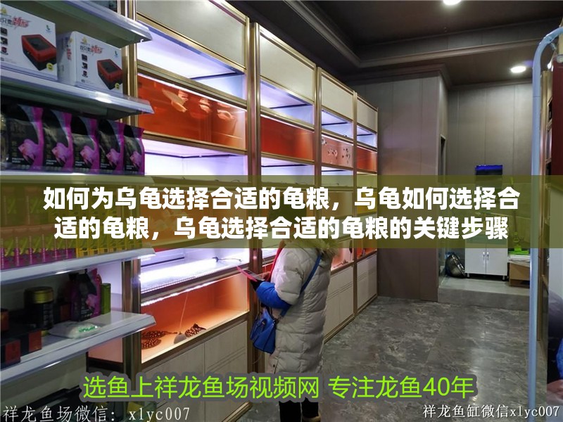 如何為烏龜選擇合適的龜糧，烏龜如何選擇合適的龜糧，烏龜選擇合適的龜糧的關(guān)鍵步驟