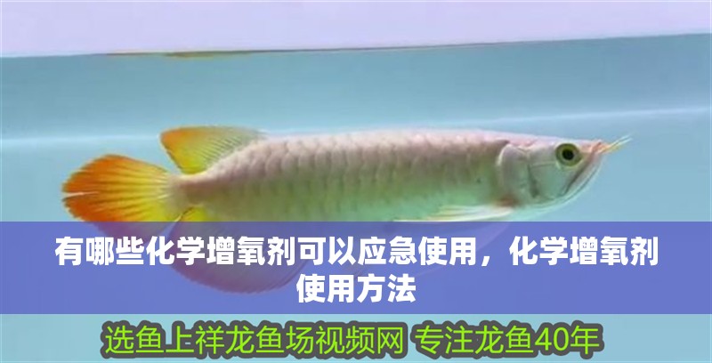 有哪些化學增氧劑可以應急使用，化學增氧劑使用方法