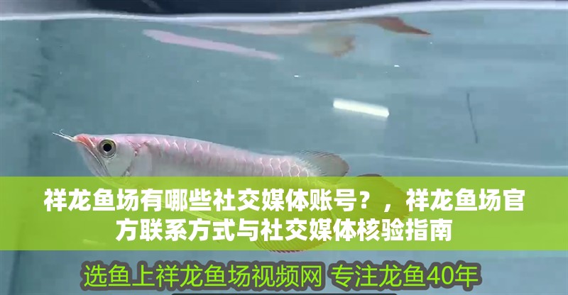 祥龍魚場有哪些社交媒體賬號？，祥龍魚場官方聯(lián)系方式與社交媒體核驗指南