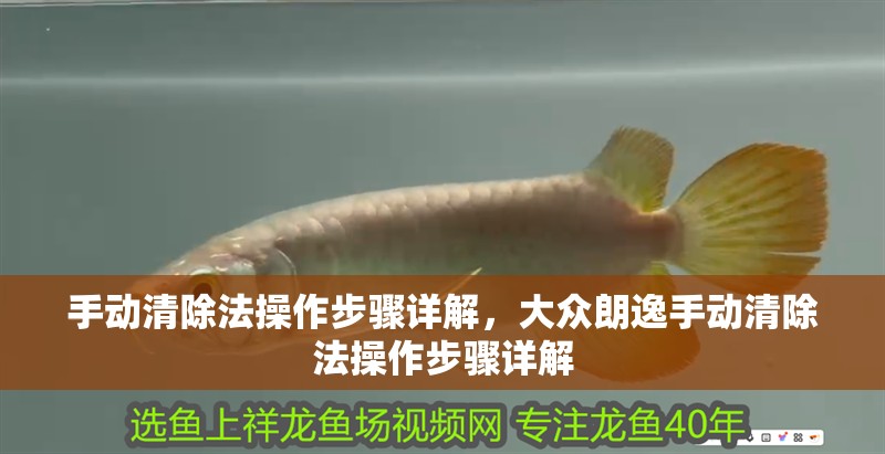 手動清除法操作步驟詳解，大眾朗逸手動清除法操作步驟詳解
