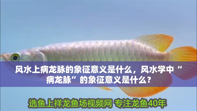 風(fēng)水上病龍脈的象征意義是什么，風(fēng)水學(xué)中“病龍脈”的象征意義是什么？