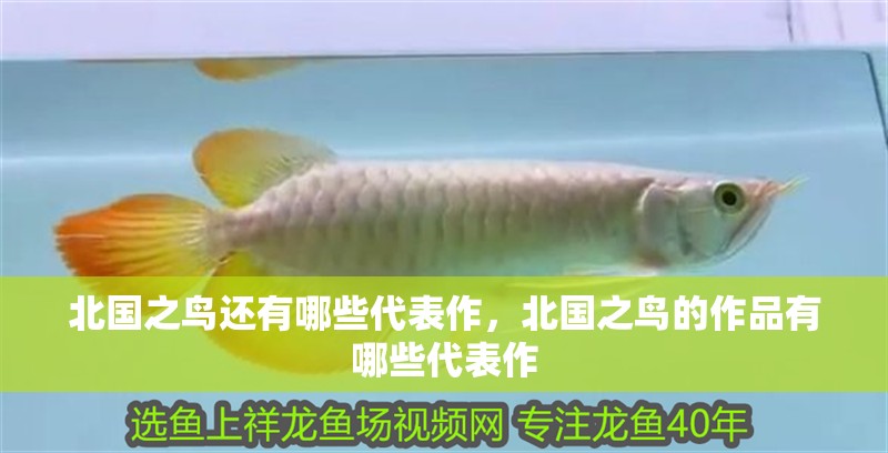 北國之鳥還有哪些代表作，北國之鳥的作品有哪些代表作