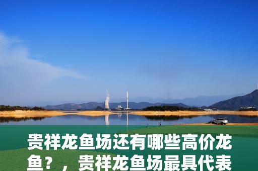 貴祥龍魚場還有哪些高價龍魚？，貴祥龍魚場最具代表性的高價龍魚種類及其特征詳解