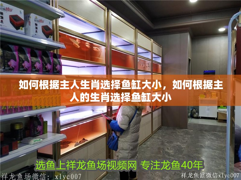 如何根據主人生肖選擇魚缸大小，如何根據主人的生肖選擇魚缸大小