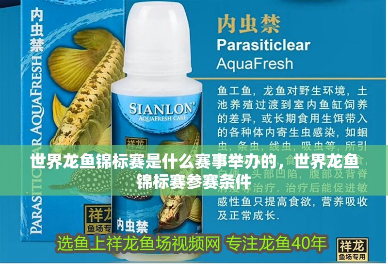 世界龍魚錦標賽是什么賽事舉辦的，世界龍魚錦標賽參賽條件