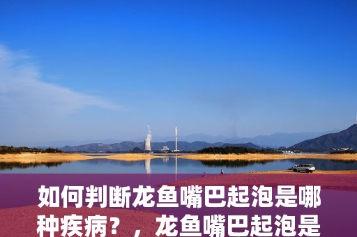 如何判斷龍魚嘴巴起泡是哪種疾病？，龍魚嘴巴起泡是哪種疾病引起的，如何預防龍魚嘴巴起泡