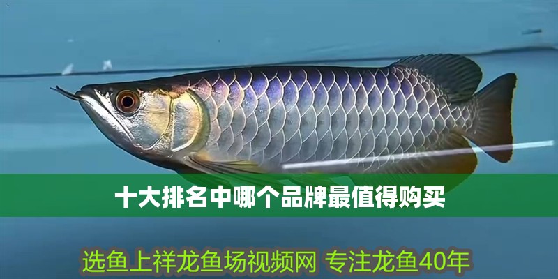 十大排名中哪個(gè)品牌最值得購買