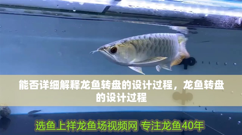 能否詳細(xì)解釋龍魚轉(zhuǎn)盤的設(shè)計(jì)過程，龍魚轉(zhuǎn)盤的設(shè)計(jì)過程