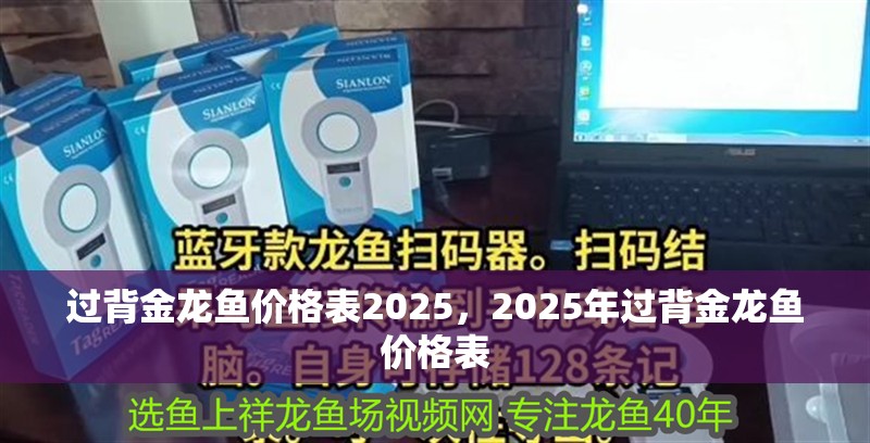 過背金龍魚價格表2025，2025年過背金龍魚價格表