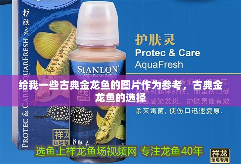 給我一些古典金龍魚的圖片作為參考，古典金龍魚的選擇
