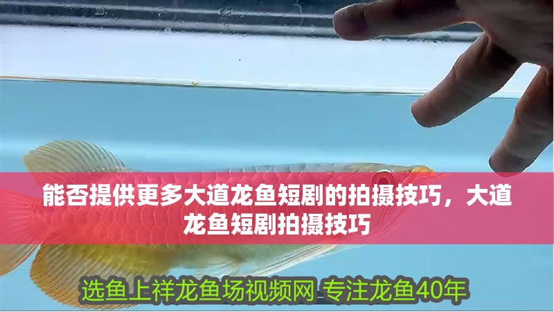 能否提供更多大道龍魚短劇的拍攝技巧，大道龍魚短劇拍攝技巧