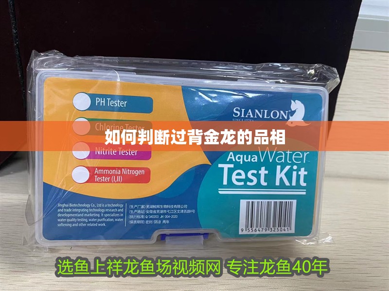 如何判斷過背金龍的品相