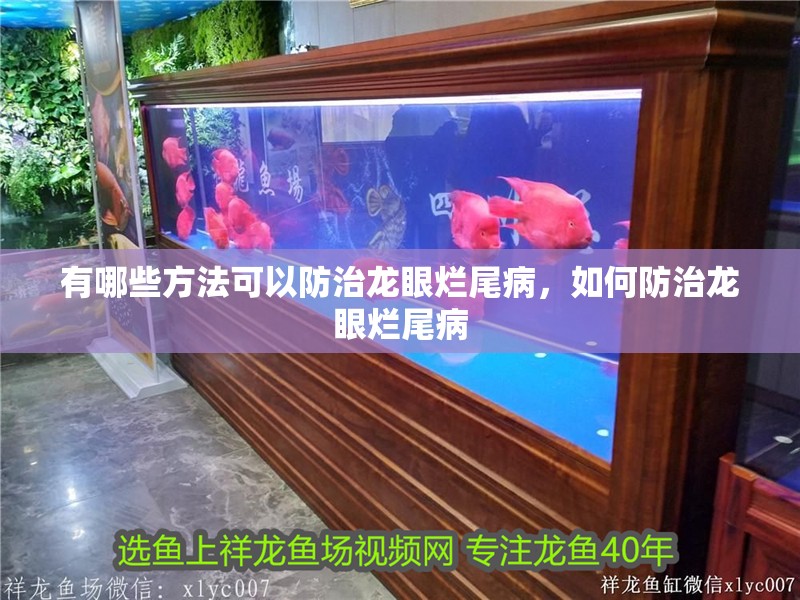 有哪些方法可以防治龍眼爛尾病，如何防治龍眼爛尾病