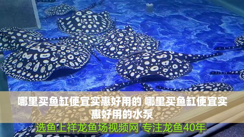 哪里買魚缸便宜實惠好用的 哪里買魚缸便宜實惠好用的水泵