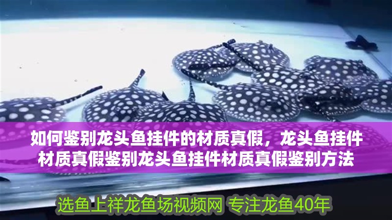 如何鑒別龍頭魚掛件的材質真假，龍頭魚掛件材質真假鑒別龍頭魚掛件材質真假鑒別方法