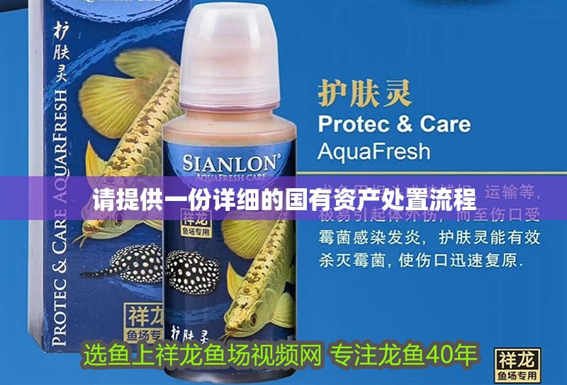 請提供一份詳細的國有資產處置流程