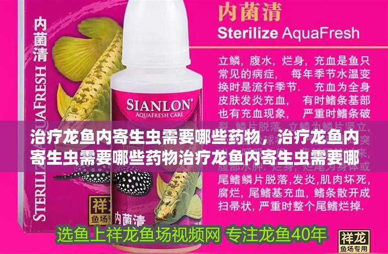 治療龍魚內(nèi)寄生蟲需要哪些藥物，治療龍魚內(nèi)寄生蟲需要哪些藥物治療龍魚內(nèi)寄生蟲需要哪些藥物