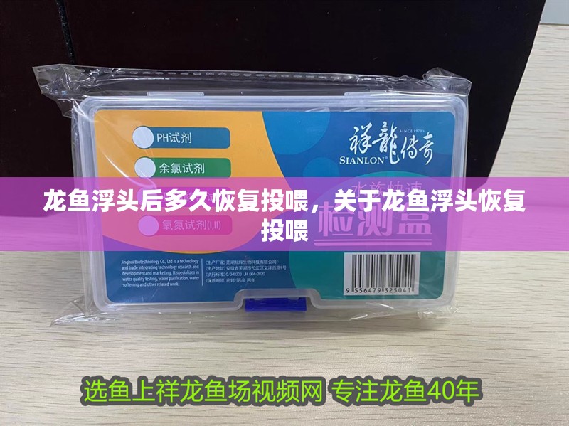 龍魚浮頭后多久恢復投喂，關于龍魚浮頭恢復投喂