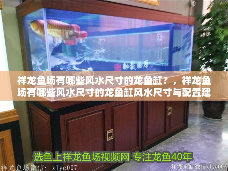 祥龍魚場有哪些風水尺寸的龍魚缸？，祥龍魚場有哪些風水尺寸的龍魚缸風水尺寸與配置建議