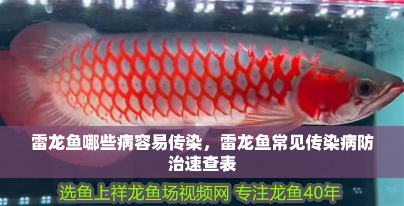 雷龍魚(yú)哪些病容易傳染，雷龍魚(yú)常見(jiàn)傳染病防治速查表